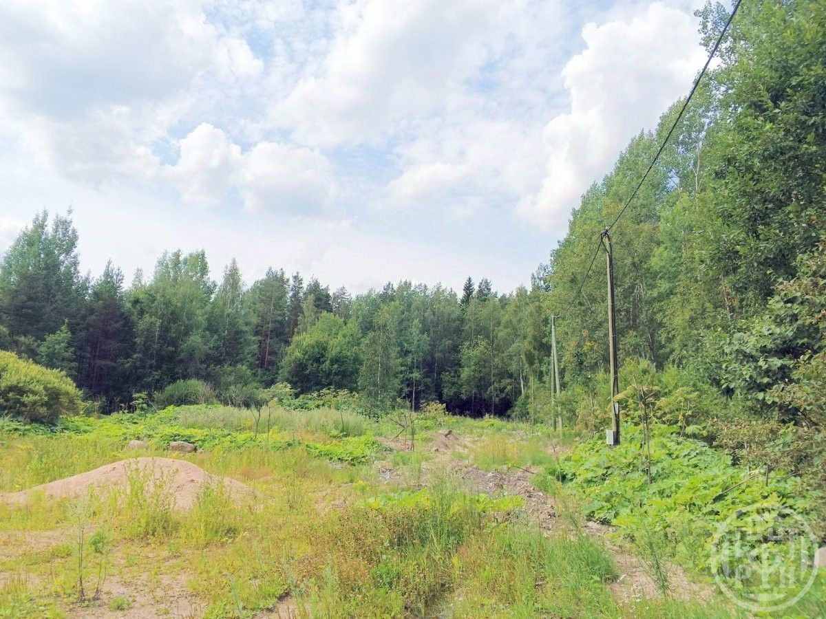 Продажа земли пос. Красносельское, улица Сосновая