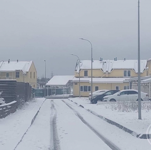 Коттедж/дом Аннолово дер., Березовая аллея