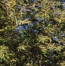 Продажа студии шоссе Энтузиастов, 86Ак3 Продажа студии шоссе Энтузиастов, 86Ак3