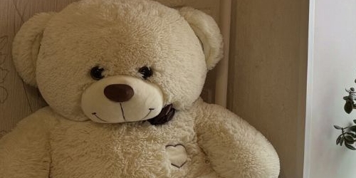 3-комн квартира д. Низино, Центральная улица, 3