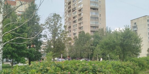 1-комн квартира улица Шотмана,  д. 7