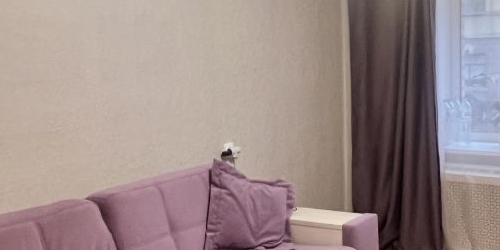 2-комн квартира Кронштадт, улица Юрия Инге, 2/4