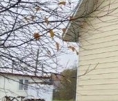 Продать Земельные участки, земля Феликсово кп, улица Центральная   