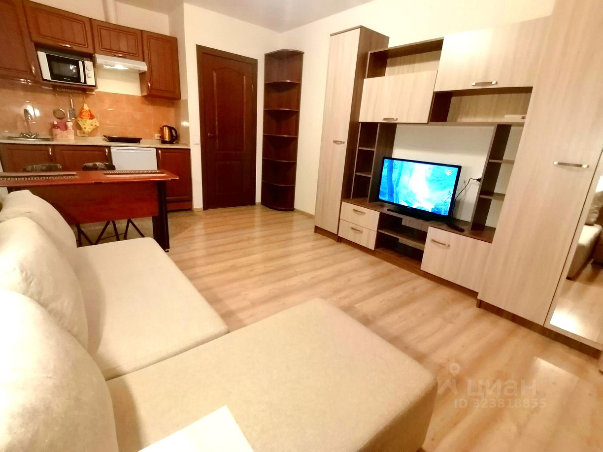 Аренда студии Мурино, проспект Авиаторов Балтики, 11/1