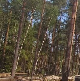 Продажа дома СОСН Раздолье тер., улица Лютиковая