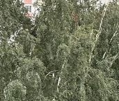 Продать Квартиры вторичка улица Новинки, 17   