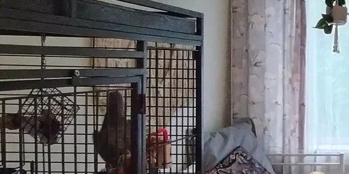 2-комн квартира Тимуровская улица, 6К2