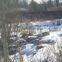 Продажа земли Выборг, улица Авиагородок, 1