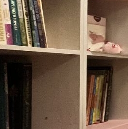 Продажа 2-комн квартиры на вторичном рынке Люблинский переулок, 5Б Продажа 2-комн квартиры на вторичном рынке Люблинский переулок, 5Б