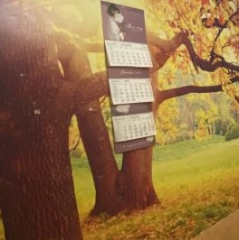 Продажа 3-комн квартиры на вторичном рынке улица Подольских Курсантов, 2к1 Продажа 3-комн квартиры на вторичном рынке улица Подольских Курсантов, 2к1