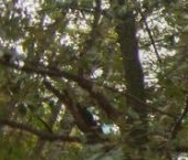 Продать Квартиры вторичка Наличная улица, 36К7   