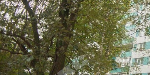 3-комн квартира Наличная улица, 36К7