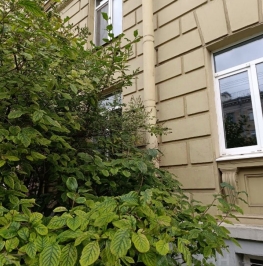 Аренда ПСН улица Савушкина,  д. 16