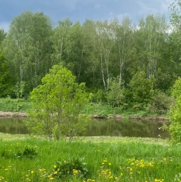 Продажа земли Прокунино, Ленинградский переулок, д. 16 Продажа земли Прокунино, Ленинградский переулок, д. 16