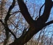 Сдать в аренду Квартиры вторичка проспект Космонавтов, 52К5   