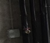 Продать Квартиры вторичка Березовая аллея, 19к6   