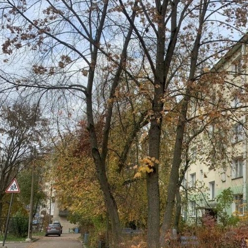 3-комн квартира Колтуши, переулок Школьный, 14