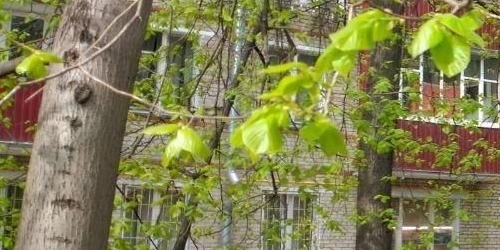 2-комн квартира 2-я Радиаторская улица, 12