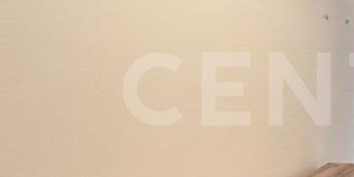 2-комн квартира пос. Стрельна, улица Лодыгина, 10/8