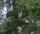 Продать Квартиры вторичка Люберцы, Красноармейская улица, 18   