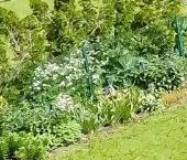 Продать Дачи, коттеджи, загородные дома Петергофские Предместья кп, улица Ораниенбаумская  2 