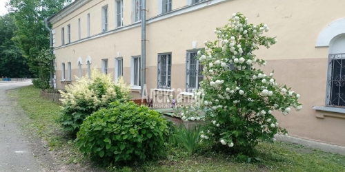 3-комн квартира Сестрорецк г., Писемского ул. ,  д. 2,  к. 2