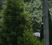 Продать Дачи, коттеджи, загородные дома Шлиссельбург, Октябрьская улица, 8А   