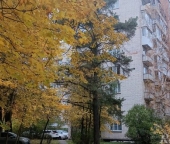 Продать Квартиры вторичка Сосновый Бор г, Ленинградская ул  2 