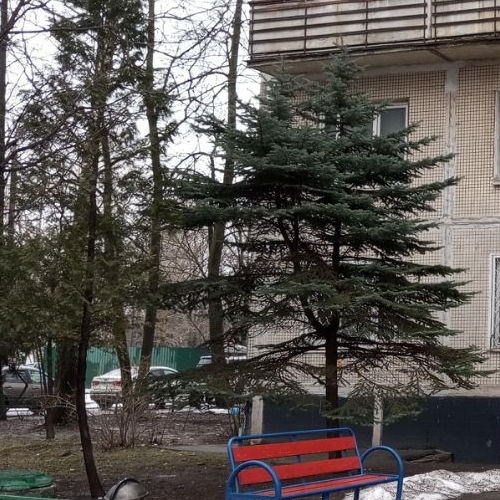 Комната пос. Совхоза имени Ленина, 14