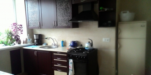 1-комн квартира Троицкая пл ,  д. 1