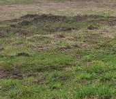 Продать Земельные участки, земля Кискелово массив, Садовые участки   