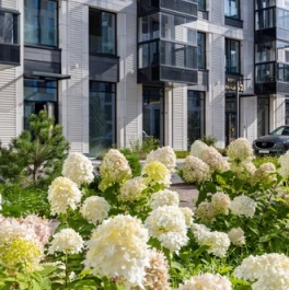 Продажа 1-комн квартиры на вторичном рынке Петровский пр-кт,  д. 28 к2 с1