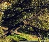 Продать Квартиры вторичка улица Козлова, 51К1   