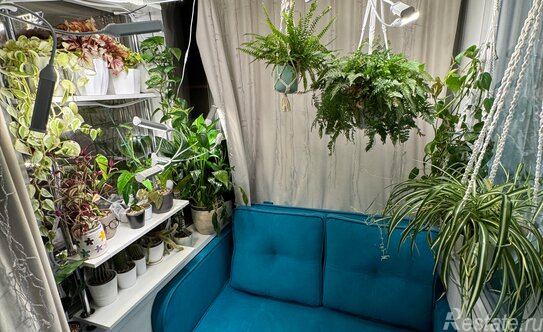 Продажа 1-комн квартиры на вторичном рынке Янино-1, ул Ясная,  д. 16,  к. 3