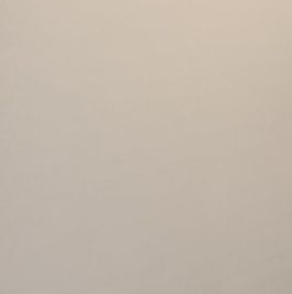 Аренда 1-комн квартиры на вторичном рынке Ботаническая улица, 33Вс1 Аренда 1-комн квартиры на вторичном рынке Ботаническая улица, 33Вс1