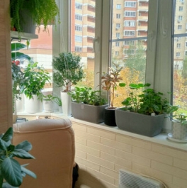 Продажа 1-комн квартиры на вторичном рынке Лесной Городок, ул Грибовская,  д. 6