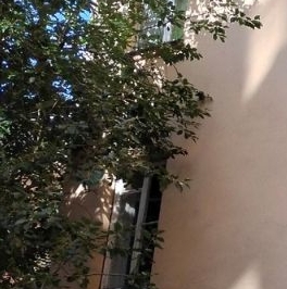 Продажа 4-комн квартиры на вторичном рынке улица Рубинштейна, 15-17