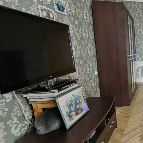 3-комн квартира улица Большая Зеленина, 13