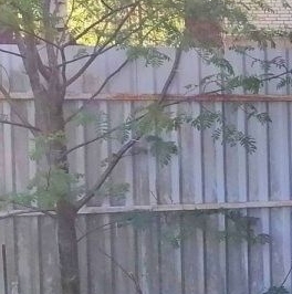 Продажа дома пос. Сосново, переулок Солдатский, 6