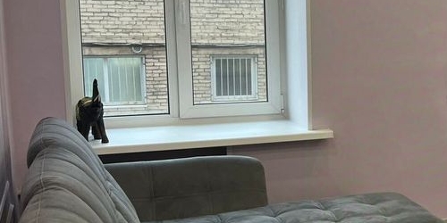 2-комн квартира Чкаловский проспект, 8