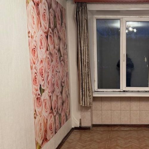 2-комн квартира д. Ретселя, 4