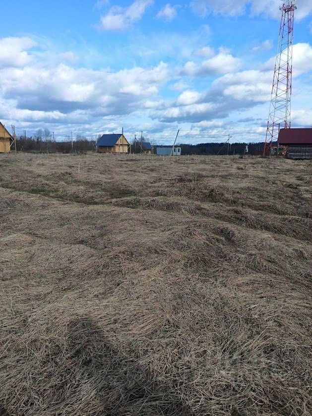 Продажа земли д. Долговка, улица Ленина, 29