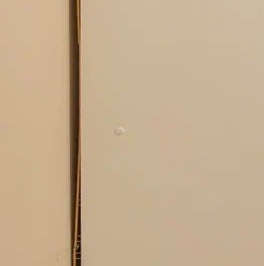 Аренда студии пос. Парголово, проезд Толубеевский, 8к2 Аренда студии пос. Парголово, проезд Толубеевский, 8к2