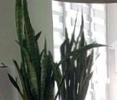 Продать Квартиры вторичка Микрорайон Западный остров, д. Бузланово  к1 