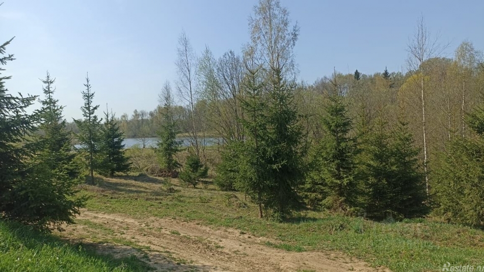 Продажа земли Судислово, ул Звездная,  д. 5