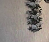 Сдать в аренду Квартиры вторичка Рощино пгт, улица Высокая, 3   