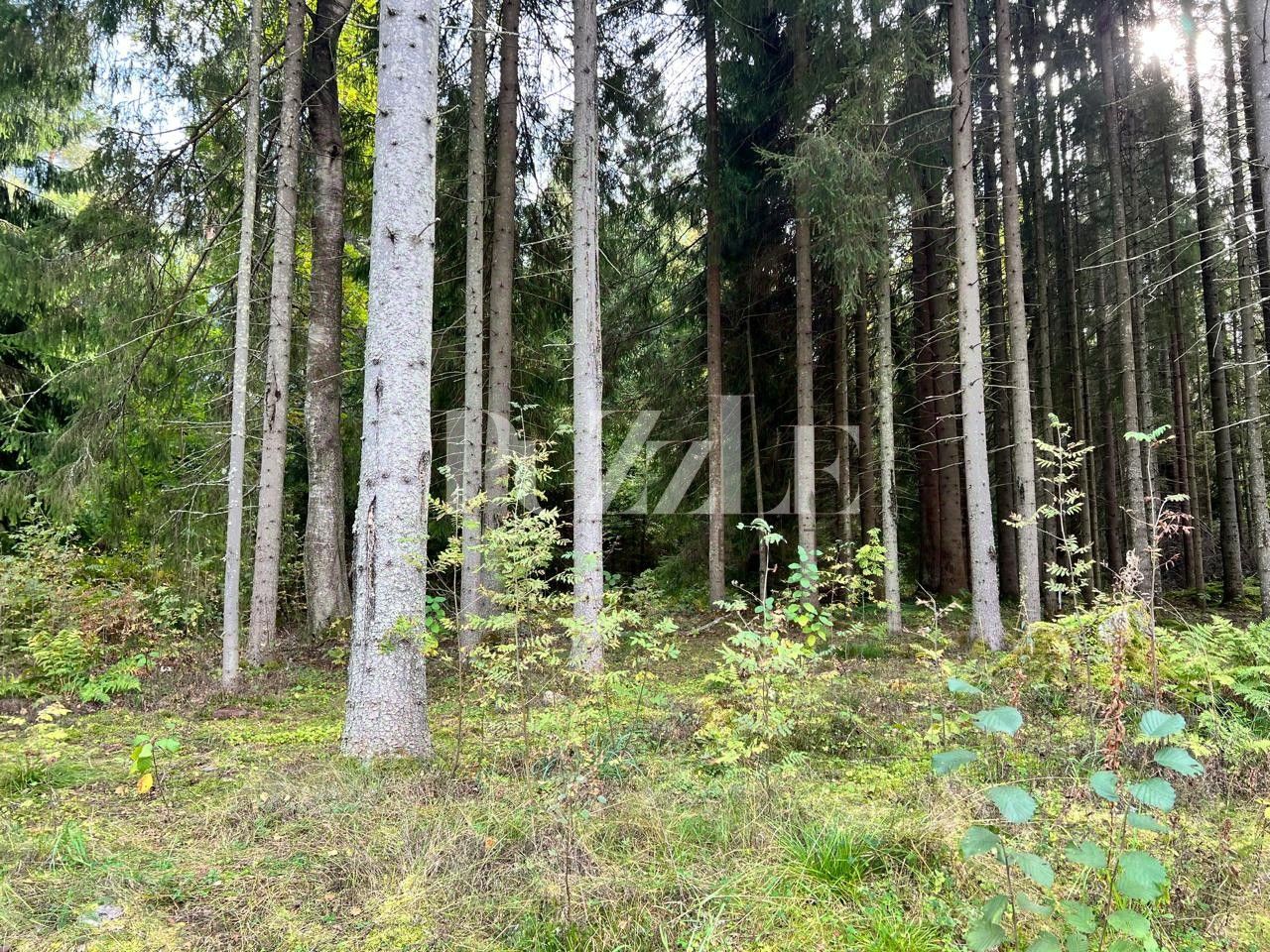 Продажа земли Сосны кп, улица Береговая,  д. 4к2