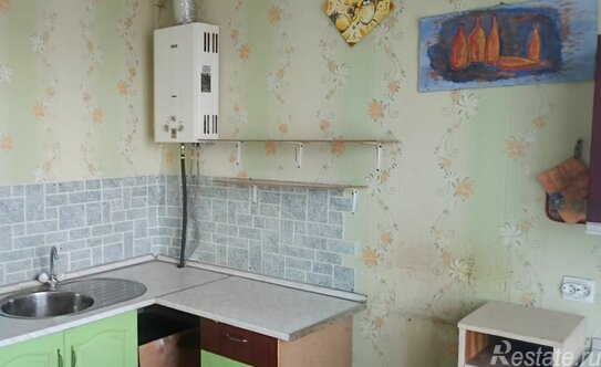 Продажа 1-комн квартиры на вторичном рынке Оржицы, Новая улица,  д. 5