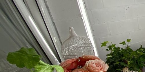 1-комн квартира Тосно г., улица Блинникова, 6