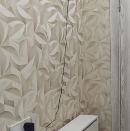 Продажа студии пос. Сосново, переулок Типографский, 11 Продажа студии пос. Сосново, переулок Типографский, 11